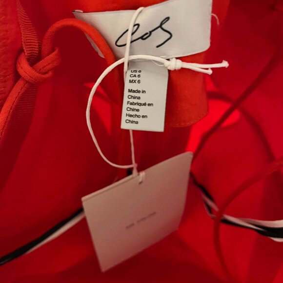 Cos Atelier The V-Neck Linen Maxi Dress - Bright Orange NWT retail $290 - Picture 15 of 16